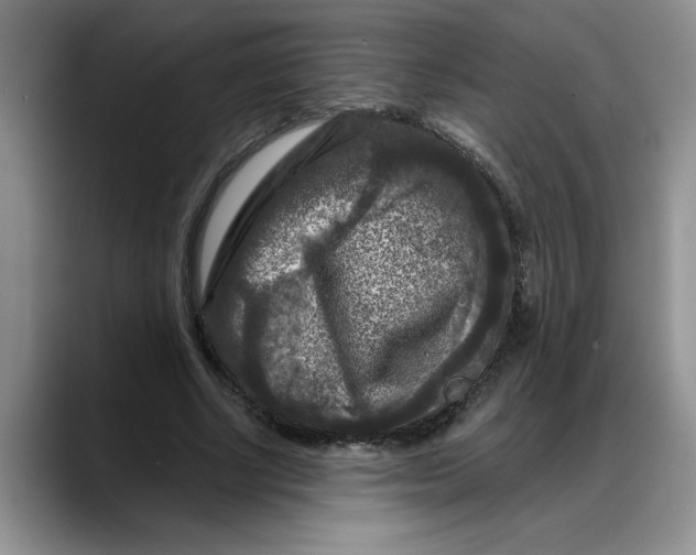 X0000088220634200705292114