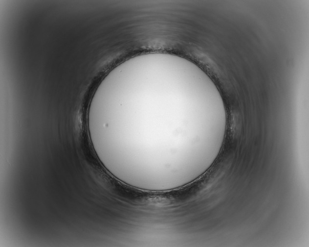 X0000088220636200705292114