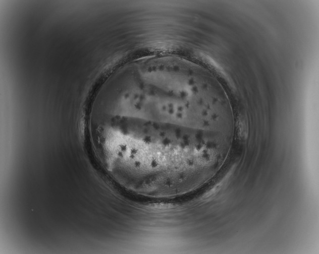 X0000088220637200705292114