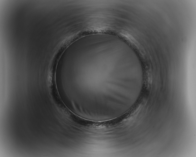 X0000088220640200705292114