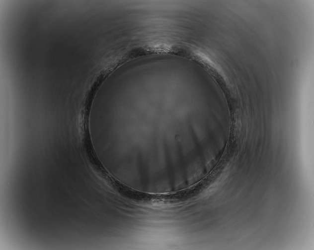 X0000088220641200705292114