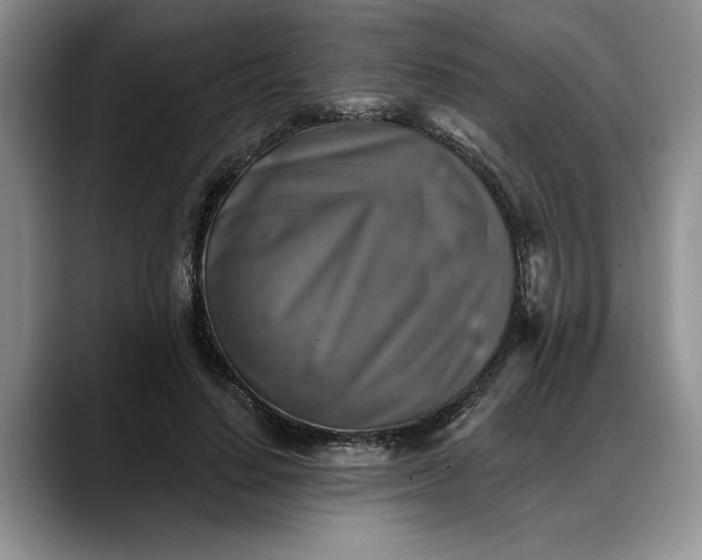 X0000088220644200705292114