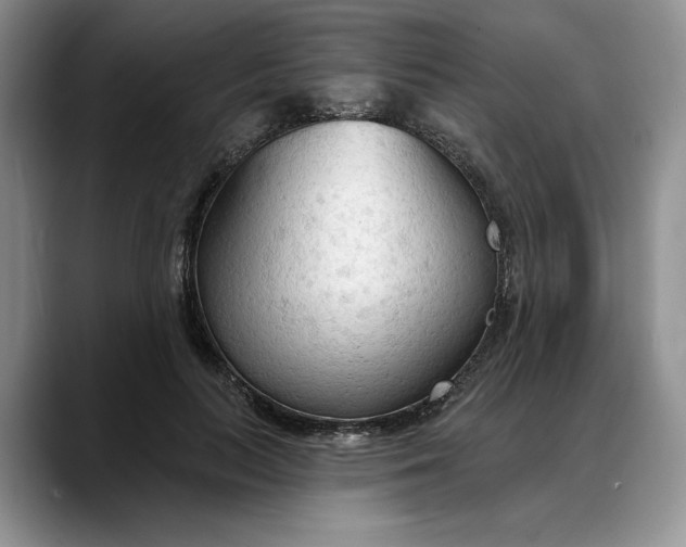 X0000088220647200705292114