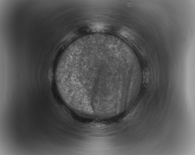 X0000088220648200705292114