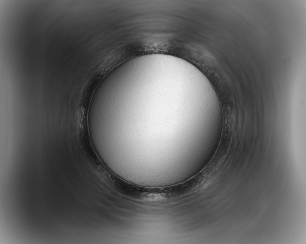 X0000088220649200705292114