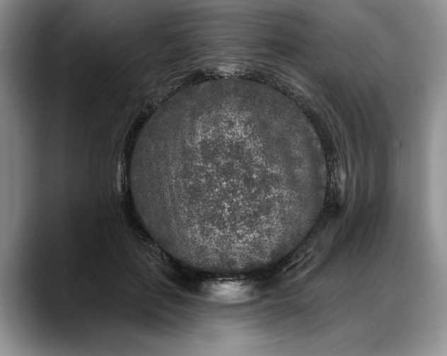 X0000088220651200705292114