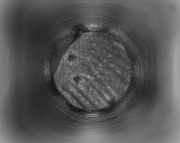 X0000088220653200705292114