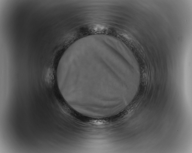 X0000088220654200705292114