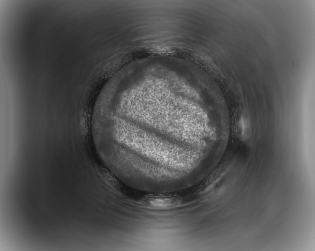 X0000088220658200705292115