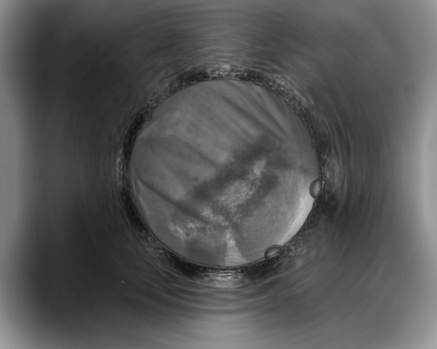 X0000088220659200705292115