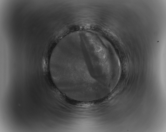 X0000088220661200705292115