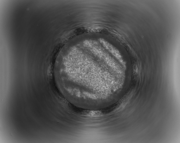 X0000088220663200705292115