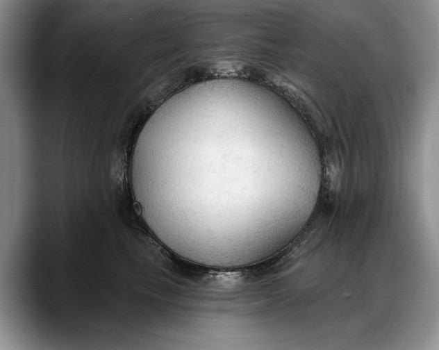 X0000088220665200705292115