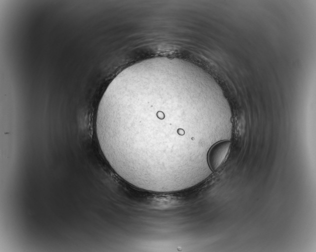 X0000088220666200705292115