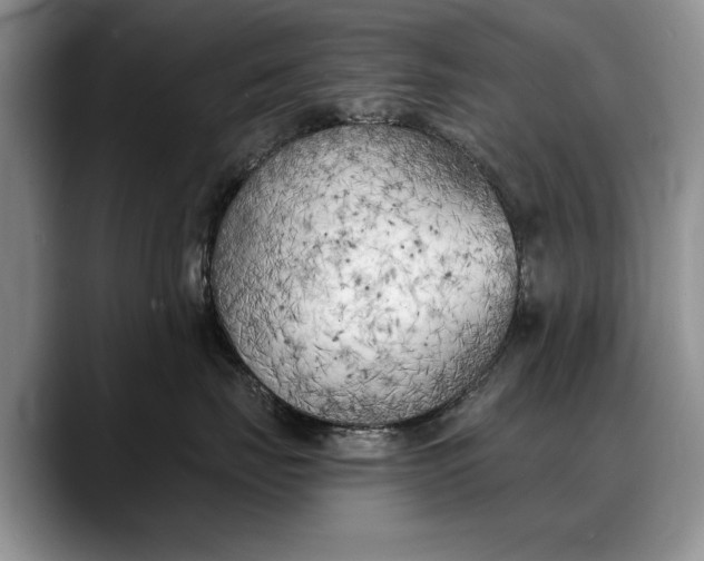 X0000088220671200705292115