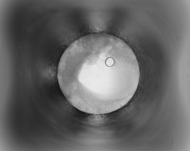 X0000088220672200705292115