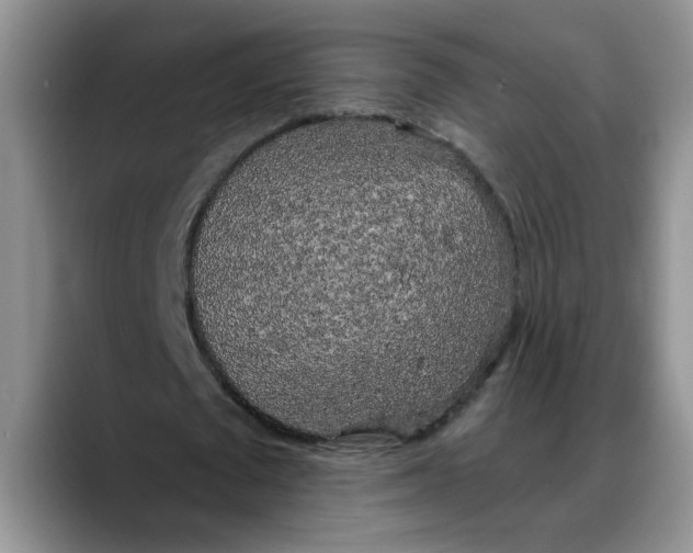 X0000088220673200705292114