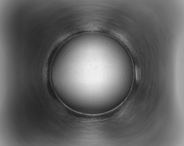 X0000088220675200705292114