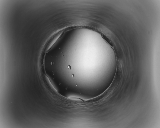 X0000088220676200705292114