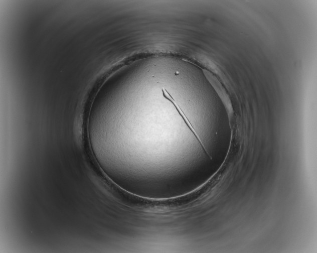 X0000088220677200705292114