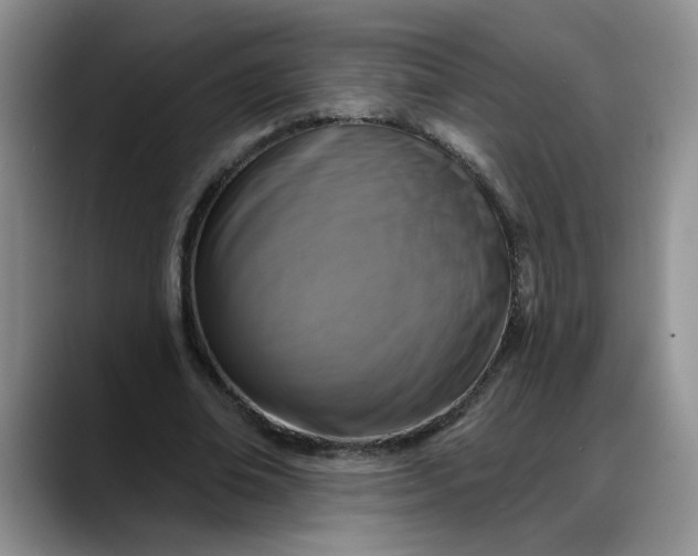 X0000088220678200705292114