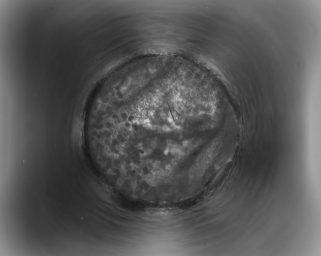 X0000088220679200705292114