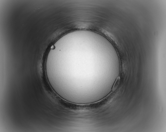 X0000088220682200705292114