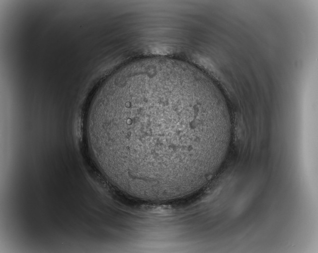 X0000088220683200705292114