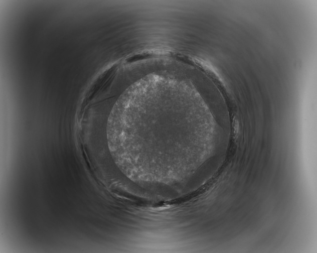 X0000088220684200705292114