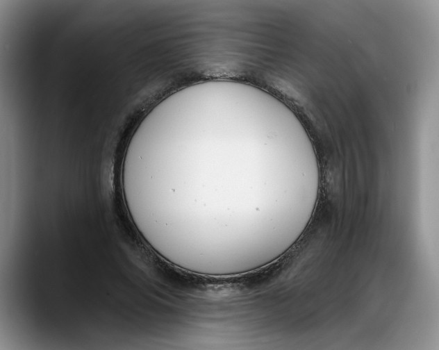 X0000088220686200705292114