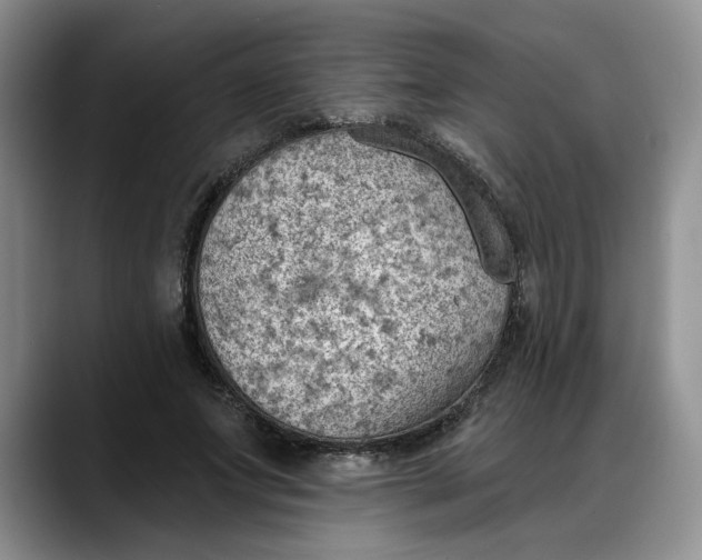 X0000088220687200705292114