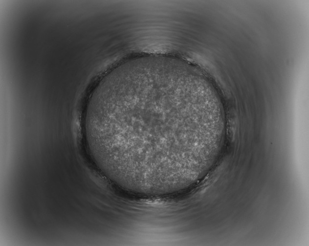 X0000088220688200705292114