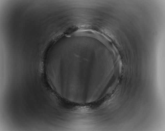 X0000088220689200705292114