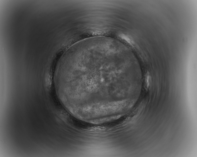 X0000088220691200705292114