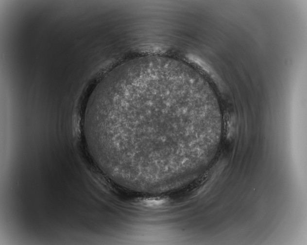 X0000088220692200705292114