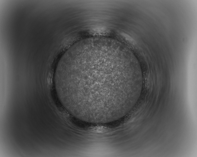 X0000088220695200705292114