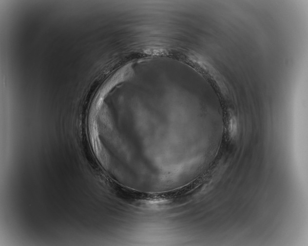 X0000088220696200705292114