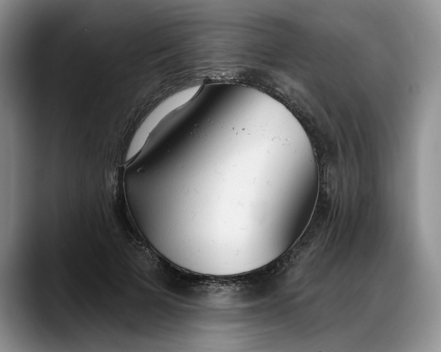 X0000088220697200705292114