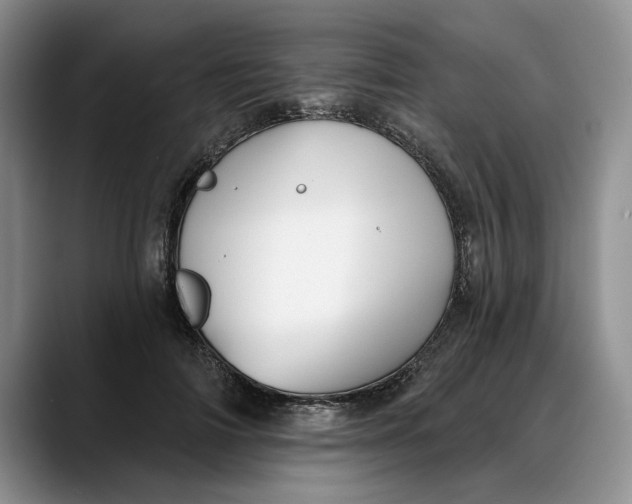 X0000088220698200705292114