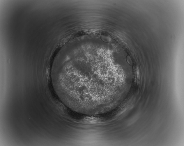 X0000088220699200705292114