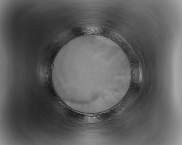 X0000088220701200705292114