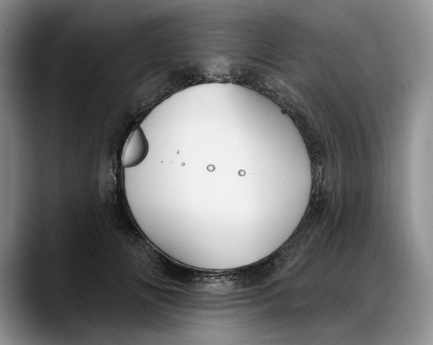 X0000088220702200705292114