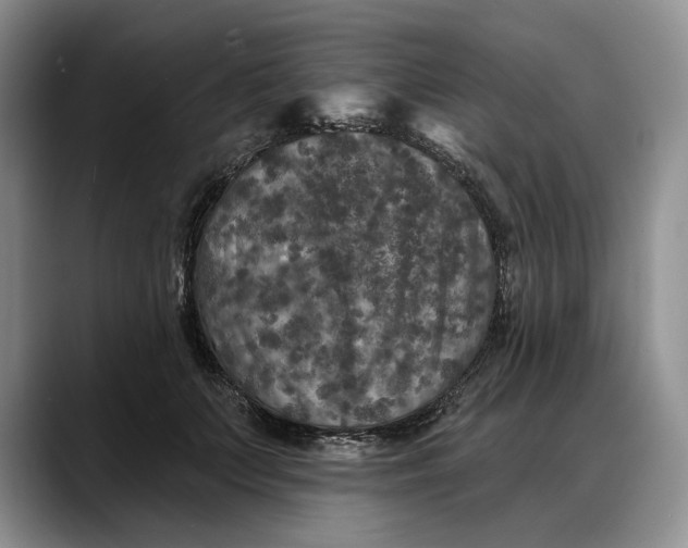 X0000088220703200705292114