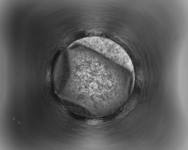 X0000088220708200705292113