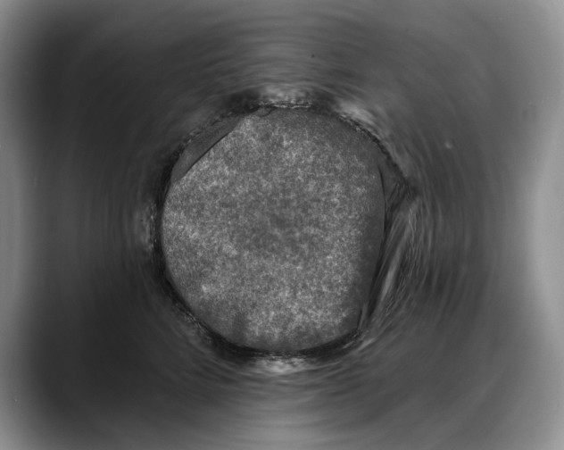 X0000088220712200705292113