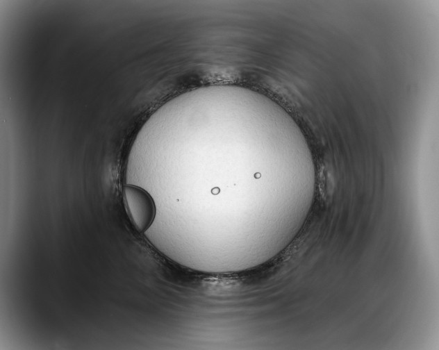 X0000088220714200705292113