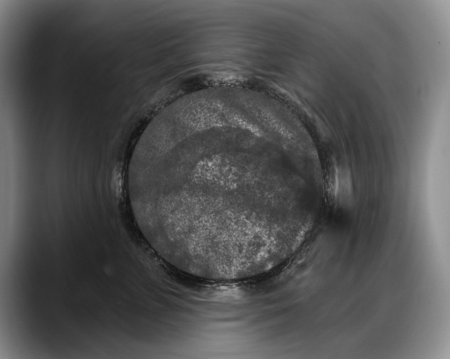 X0000088220715200705292113