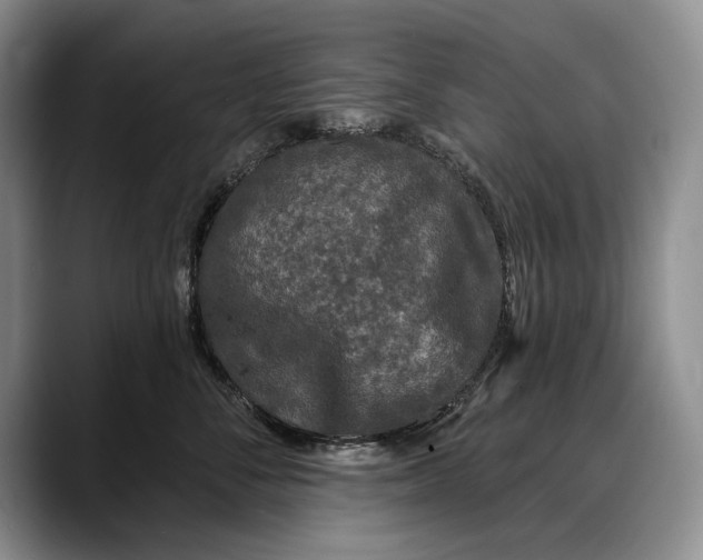 X0000088220716200705292113