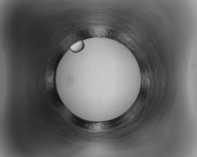 X0000088220717200705292113