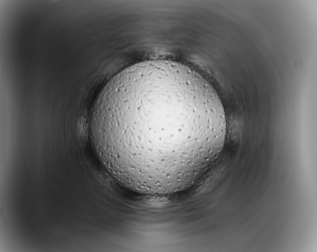 X0000088220719200705292113